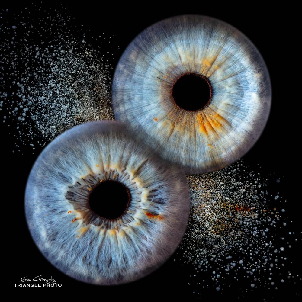 photo d'iris triangle photo01.jpg